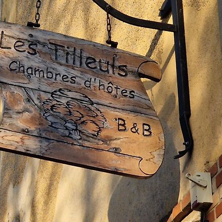 Les Tilleuls 뉴응수르벤브론 외부 사진